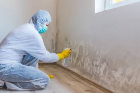 Best Comprehensive Air Testing for Mold Contaminants  in Leisure Village West, NJ